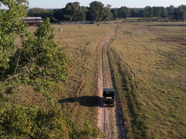 Land for sale in Joinerville, Henderson
