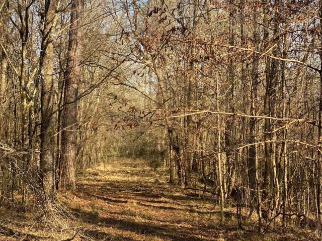Land for sale in Crosby, Mississippi