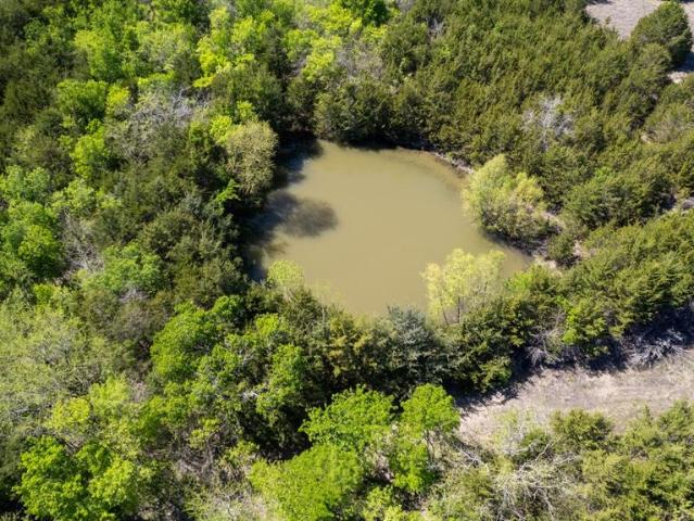 Land for sale in Fannin, Texas