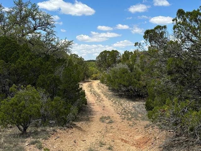 Land for sale in Mills, Texas