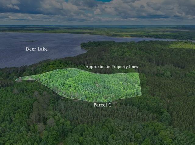Land for sale in Effie, Minnesota