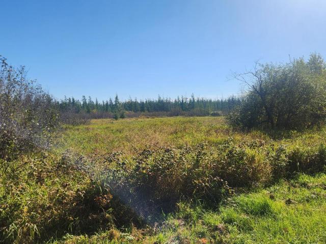 Land for sale in Remer, Cass County