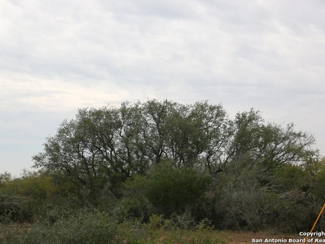 Land for sale in Medina, Texas