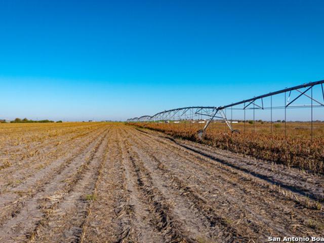 Farm for sale in Medina, Texas