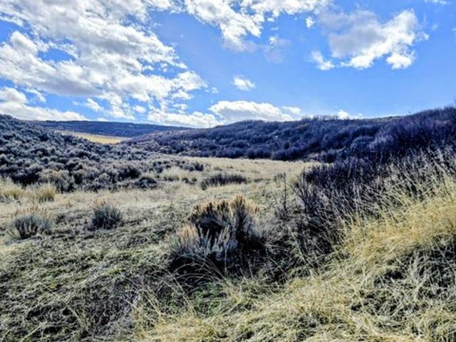 Farm for sale in Colorado