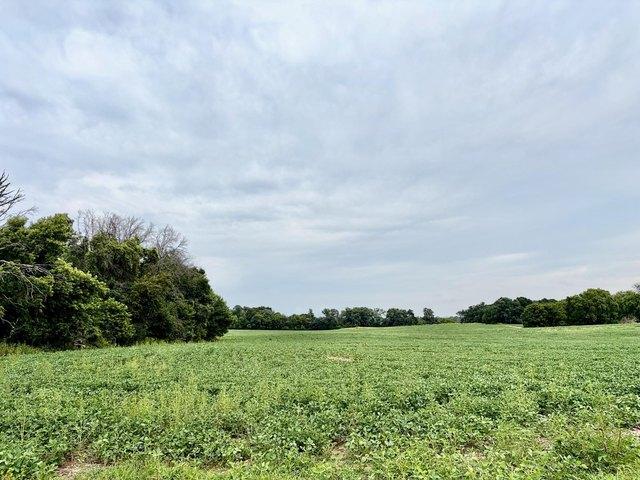 Land for sale in Isanti, Minnesota