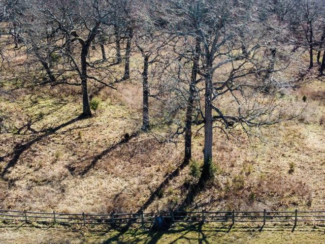 Land for sale in Theodosia, Missouri
