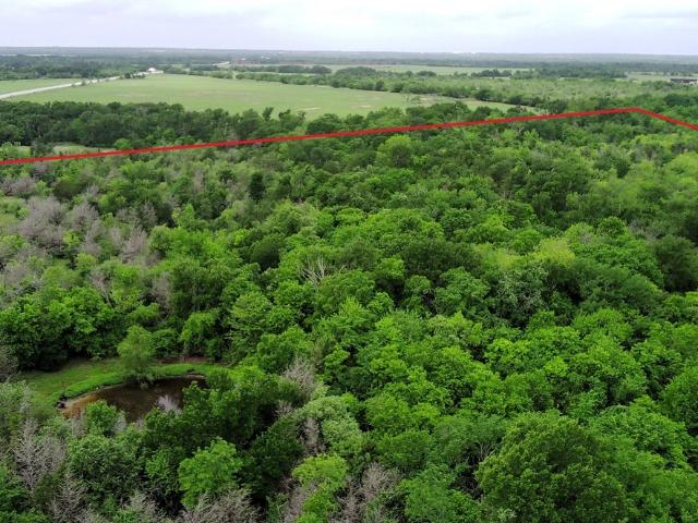 Land for sale in Limestone, Texas