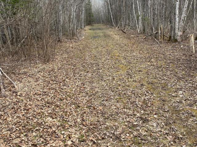 Land for sale in Littlefork, Minnesota