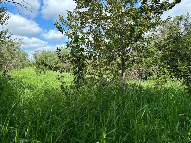 Land for sale in Bagley, Minnesota