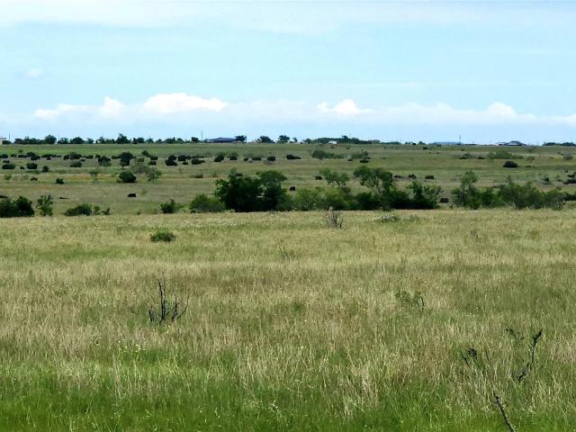 Farm for sale in Bertram, Texas