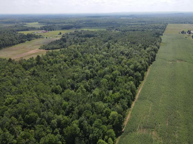 Land for sale in Ogema, Wisconsin