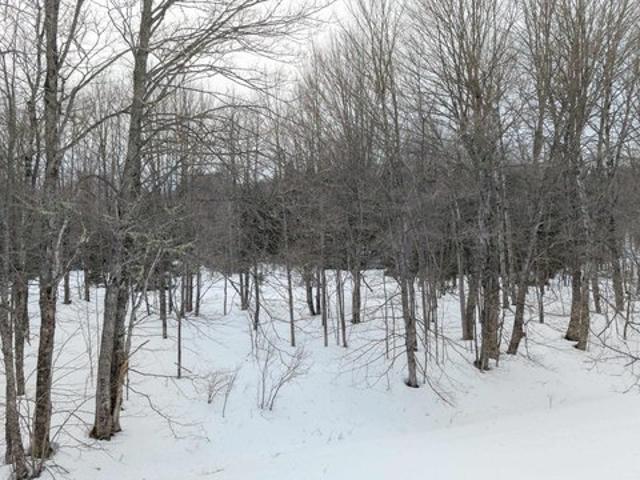 Land for sale in Rock, Michigan