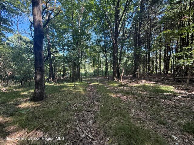 Land for sale in Town of New Baltimore, Greene County