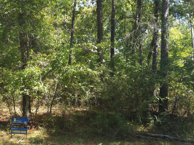Land for sale in Point Blank, San Jacinto County