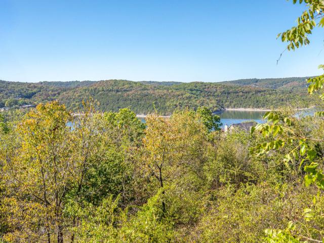 Land for sale in Blue Eye, MO, Stone County
