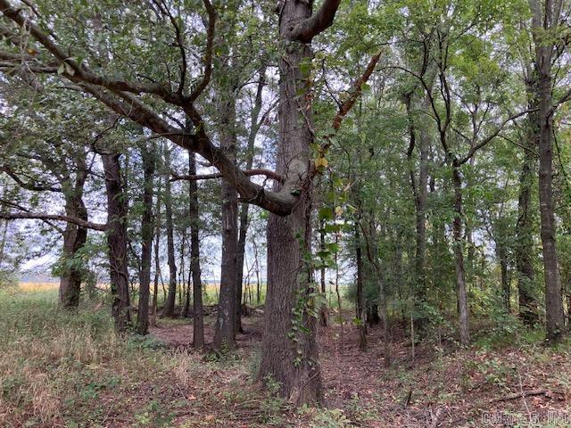 Land for sale in Ark