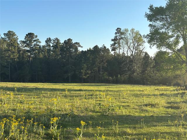 Land for sale in Crockett, Texas