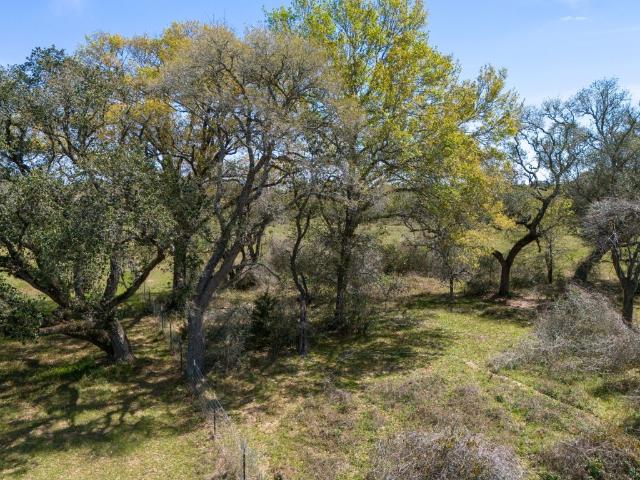 Land for sale in Glidden, Texas