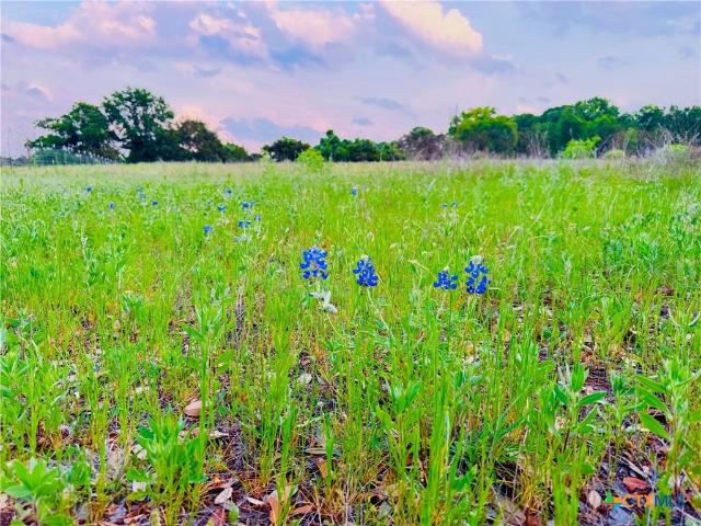 Land for sale in Gatesville