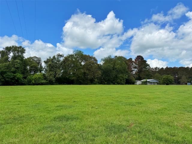 Land for sale in Leon, Texas