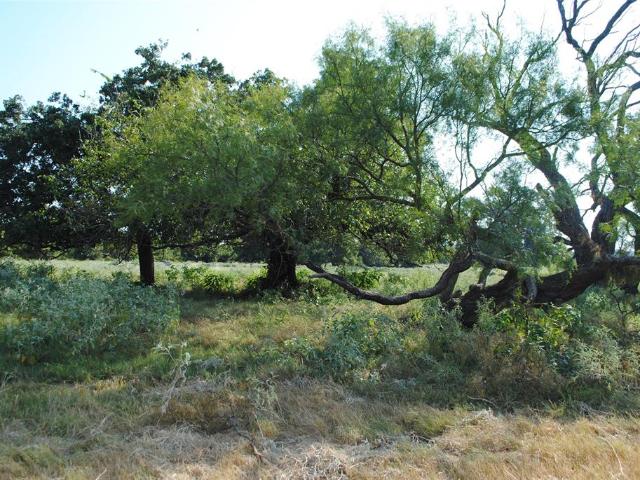Land for sale in Comanche, Texas