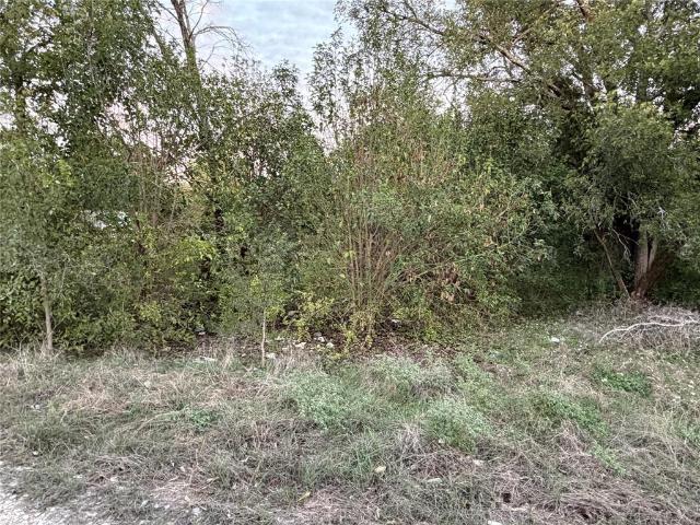 Land for sale in Clifton, Bosque County