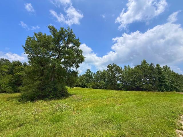 Land for sale in Leon, Texas
