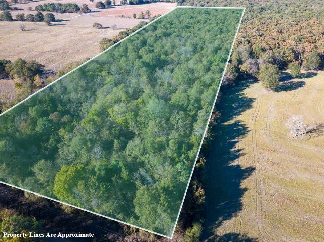 Land for sale in Bagwell, Texas