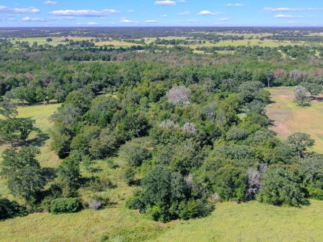 Land for sale in Caldwell, Texas