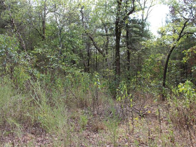 Land for sale in Carroll County, Arkansas