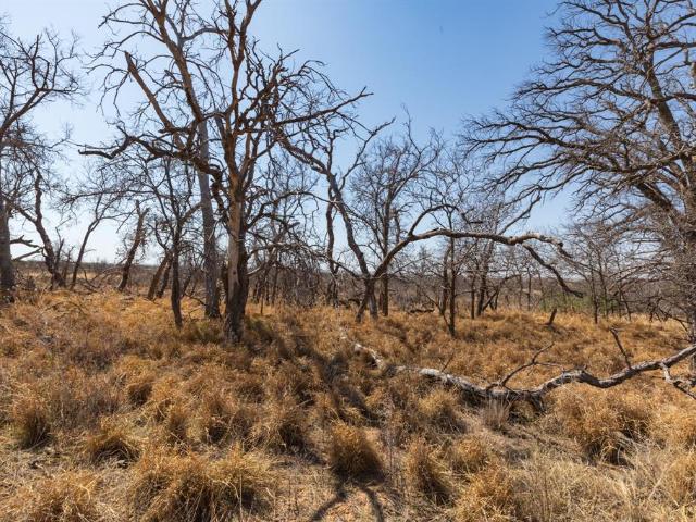 Land for sale in Post, Crosby County
