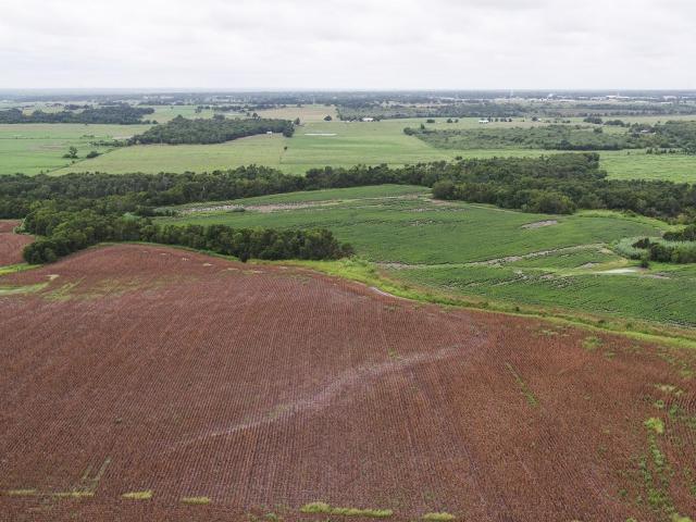 Farm for sale in Milam, Texas