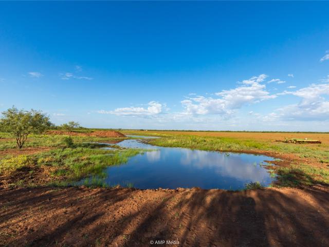 Land for sale in Colorado City, Texas