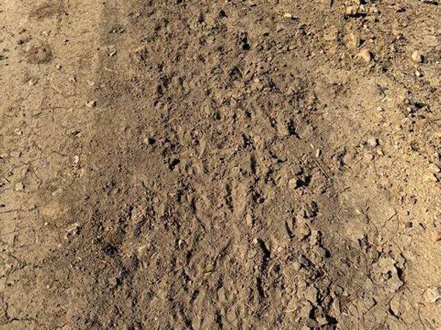 Land for sale in Moore, Texas