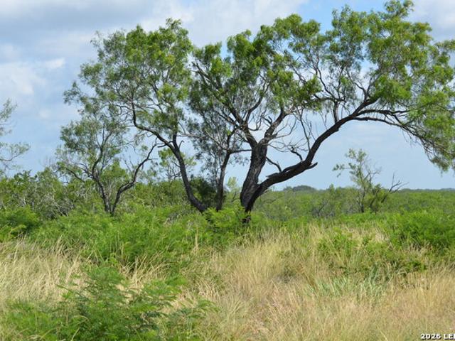 Land for sale in Moore, Texas
