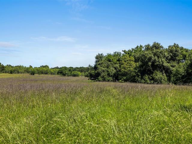 Farm for sale in Cameron, Milam County