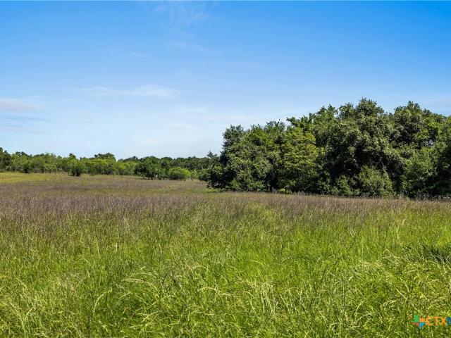 Farm for sale in Cameron, Milam County