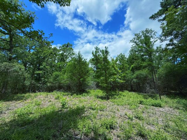 Land for sale in Leon, Texas