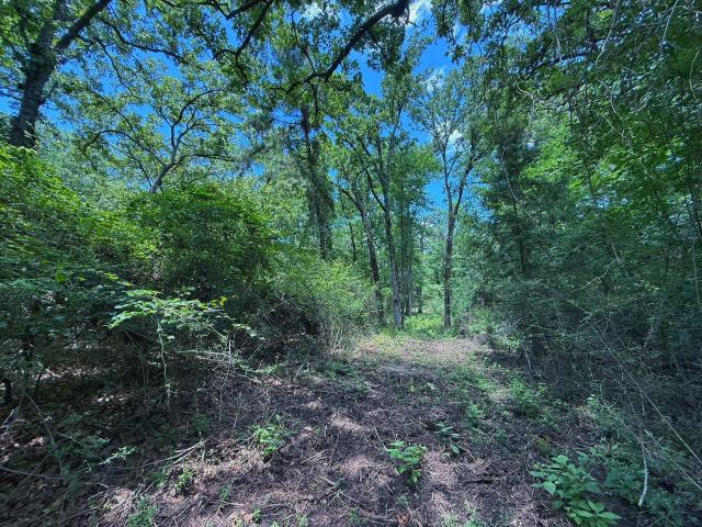 Land for sale in Leon, Texas