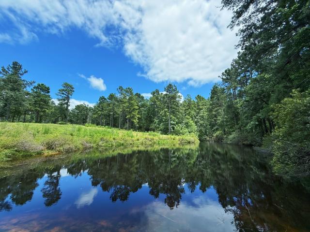 Land for sale in Leon, Texas