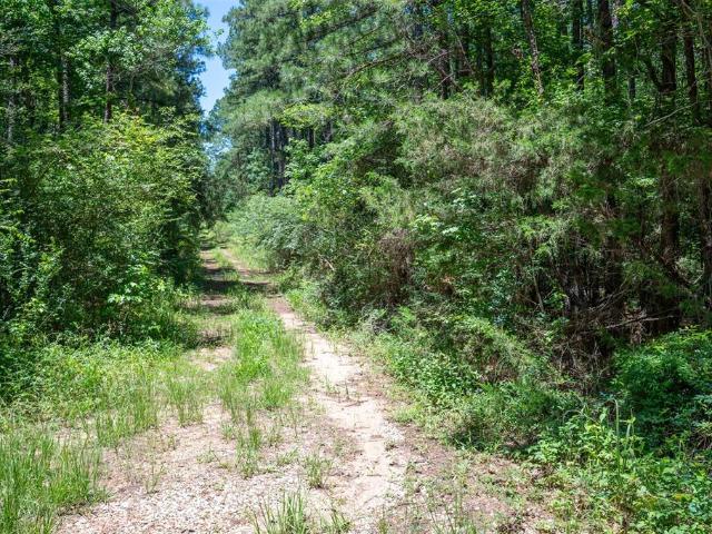 Land for sale in Woodville