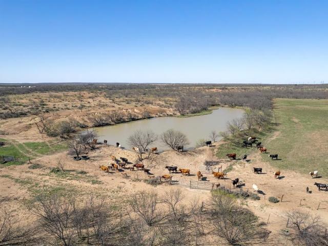Land for sale in Coleman, Texas