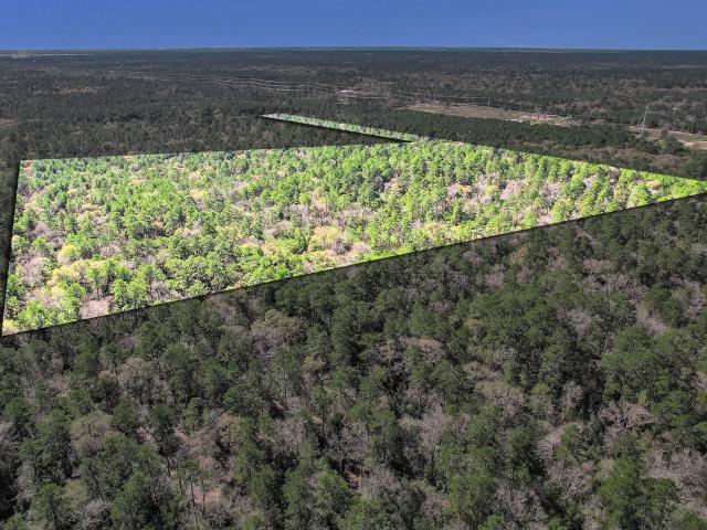 Land for sale in Grimes, Texas
