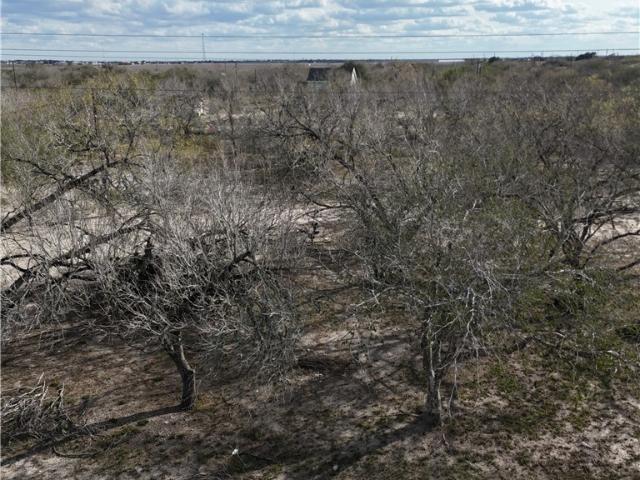 Land for sale in Orange Grove, Texas