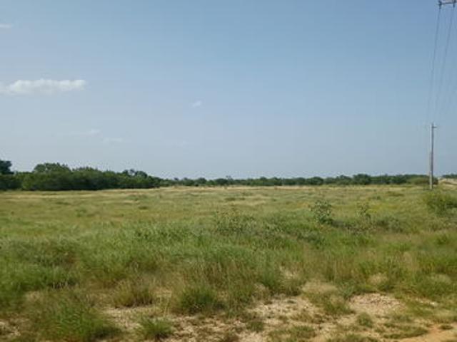 Land for sale in Jourdanton, Texas