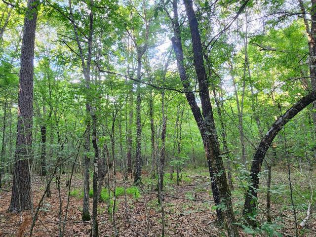 Land for sale in Clarksville, Texas