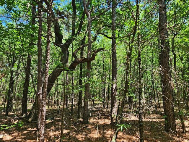 Land for sale in Clarksville, Texas