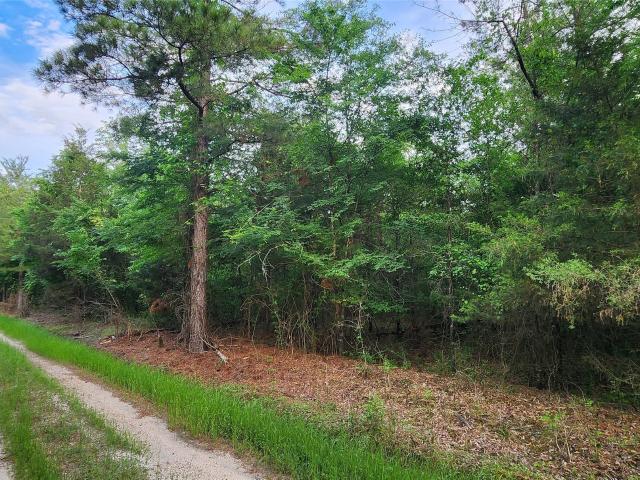 Land for sale in Clarksville, Texas