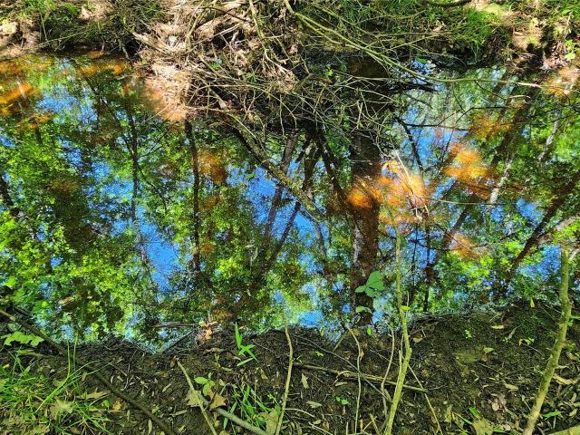 Land for sale in Clarksville, Texas